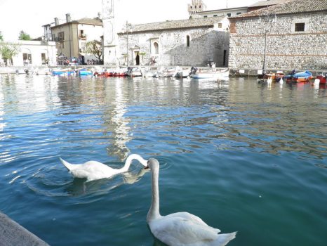 Lazise